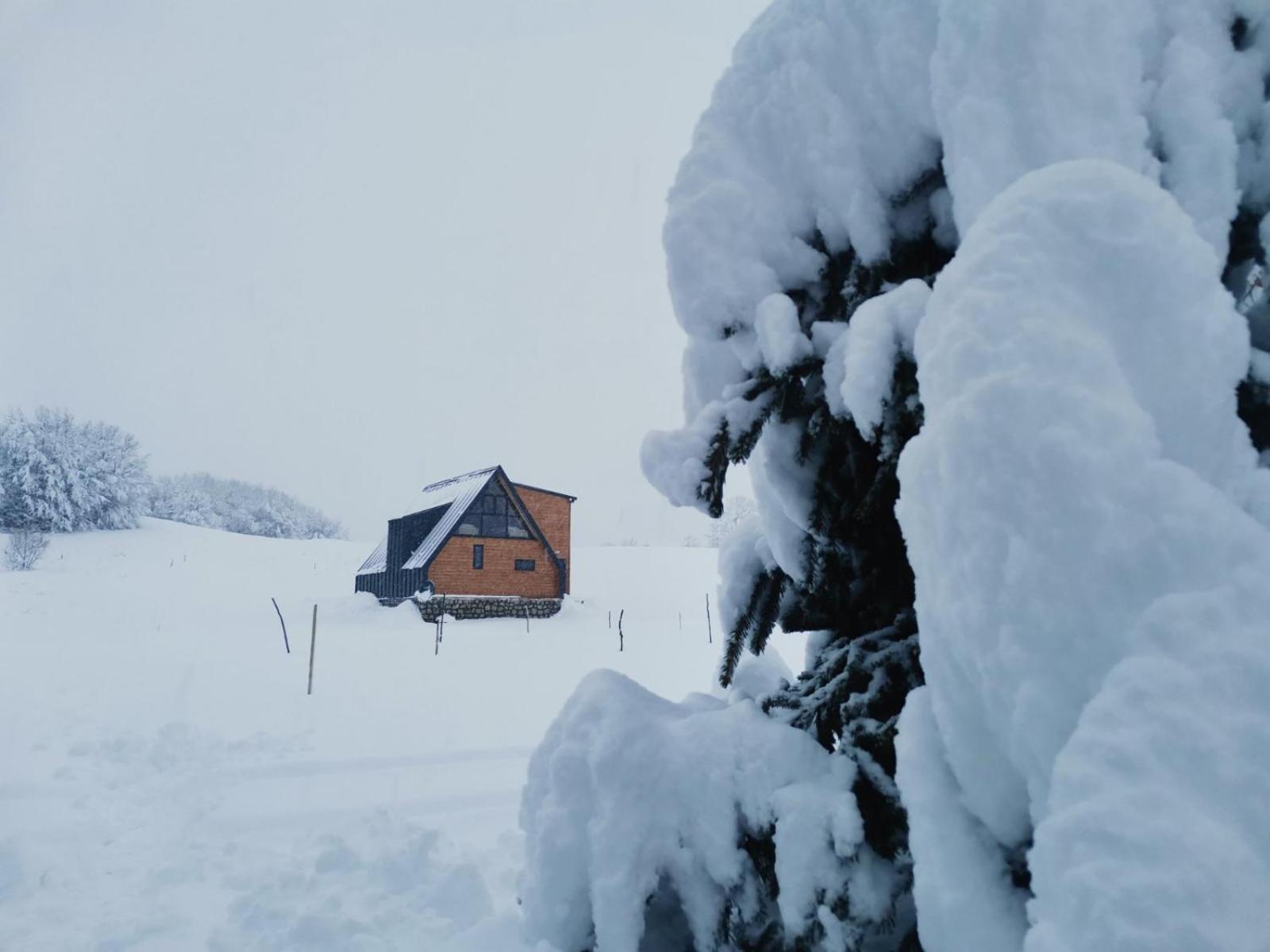 Durmitor Sunset Villa Zabljak  Exterior photo